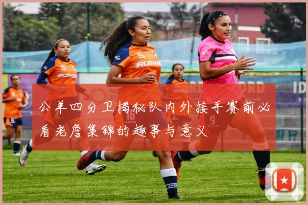 公羊四分卫揭秘队内外接手赛前必看老詹集锦的趣事与意义