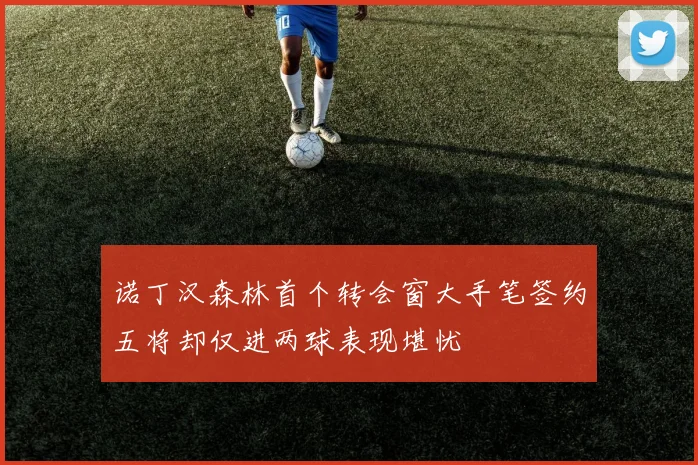 诺丁汉森林首个转会窗大手笔签约五将却仅进两球表现堪忧
