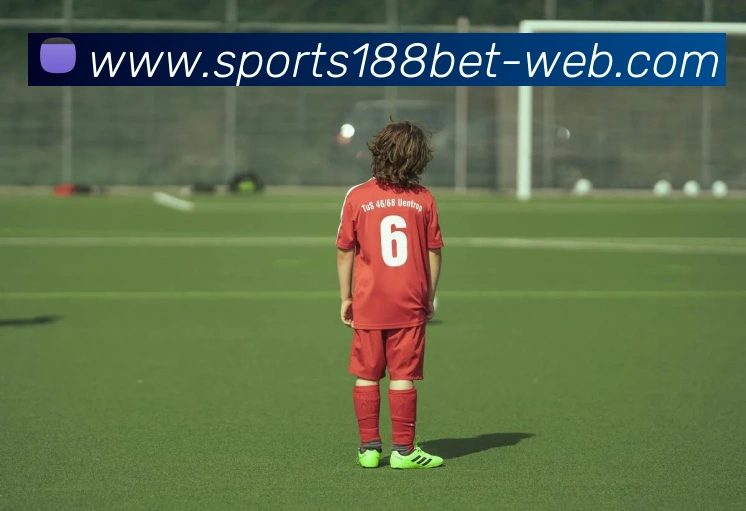 188bet体育平台生态图